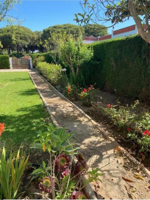 Villa Tierra Del Sur Conil De La Frontera Exterior foto